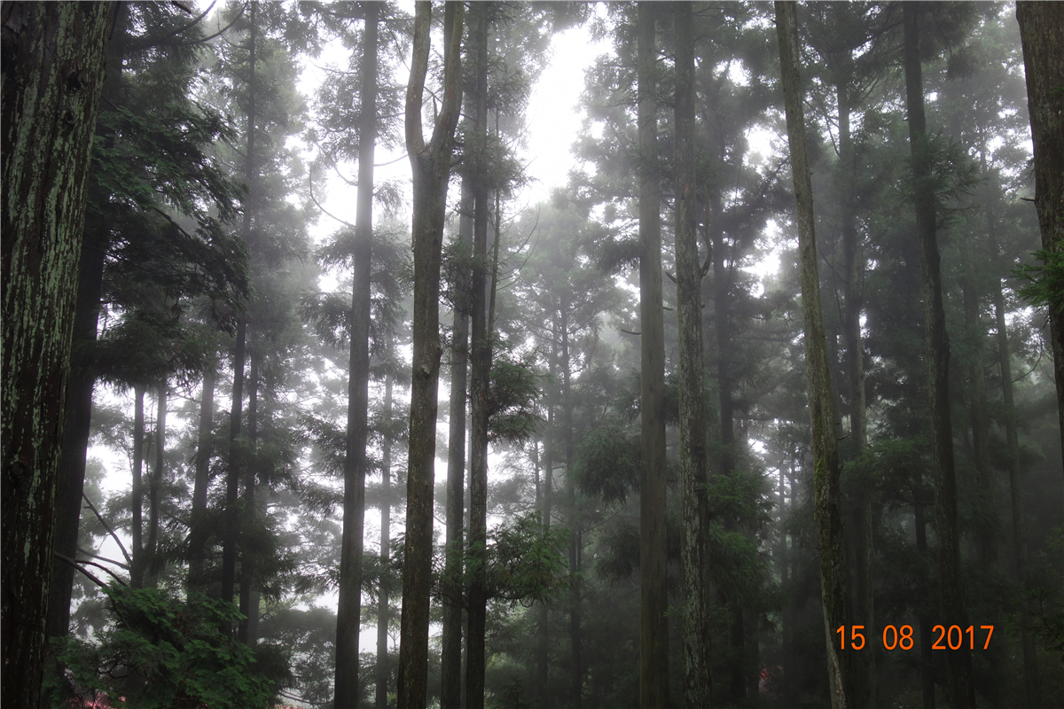 z6com·(中国区)有限公司官网