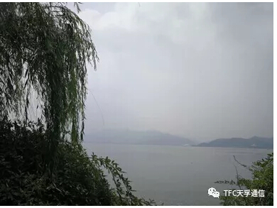 z6com·(中国区)有限公司官网