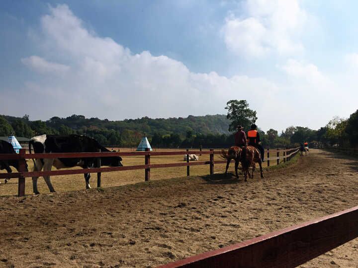 z6com·(中国区)有限公司官网