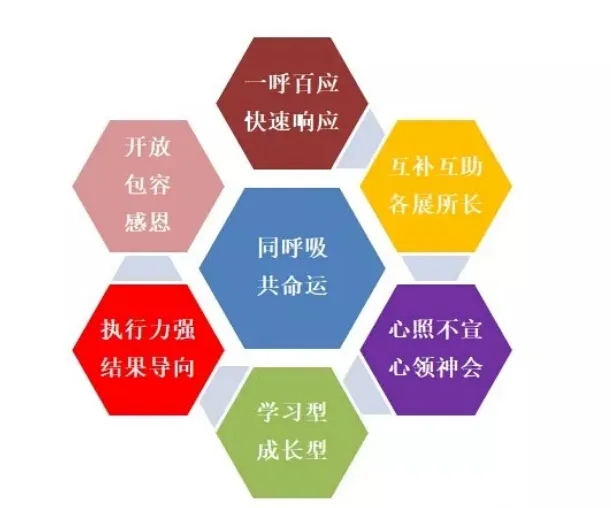 z6com·(中国区)有限公司官网