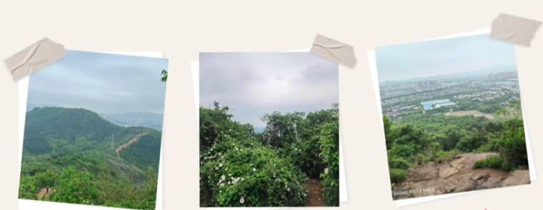 z6com·(中国区)有限公司官网