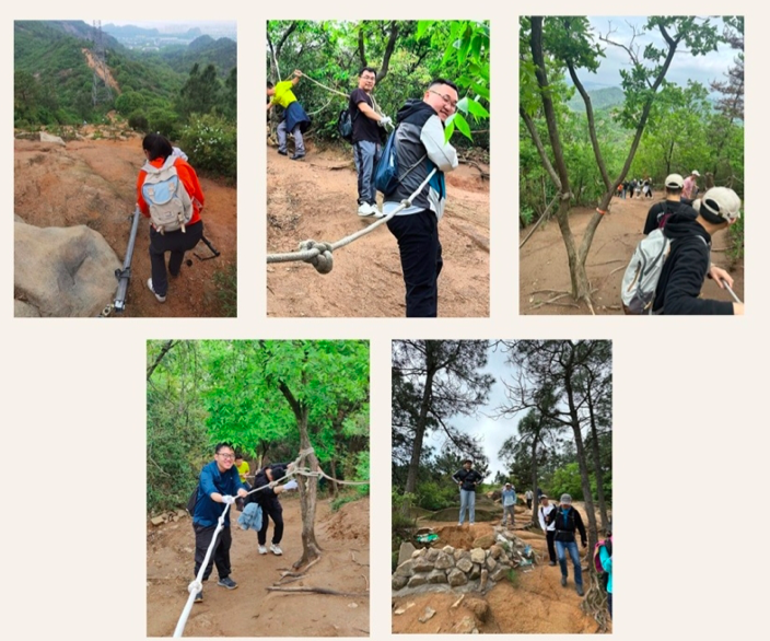 z6com·(中国区)有限公司官网